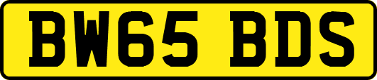 BW65BDS