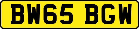 BW65BGW
