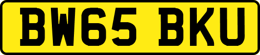 BW65BKU