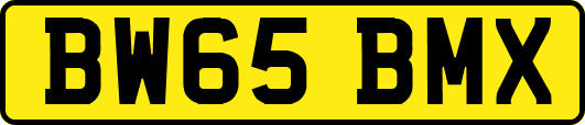 BW65BMX