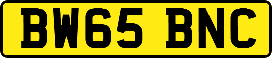 BW65BNC
