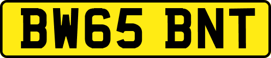 BW65BNT