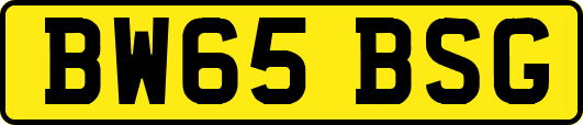 BW65BSG