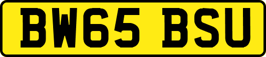 BW65BSU