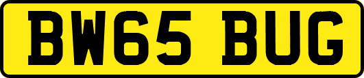 BW65BUG