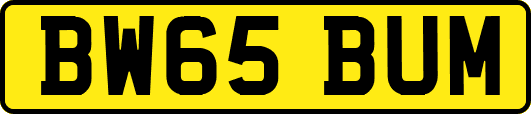 BW65BUM