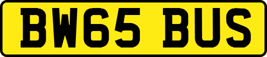 BW65BUS