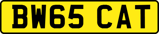 BW65CAT