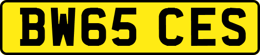BW65CES