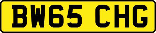 BW65CHG