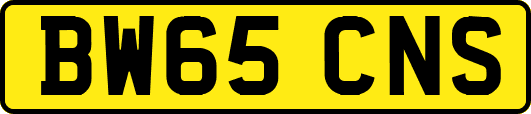 BW65CNS