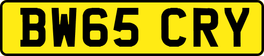 BW65CRY