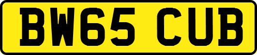 BW65CUB