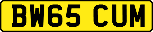 BW65CUM
