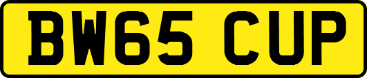 BW65CUP