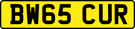 BW65CUR