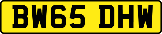 BW65DHW