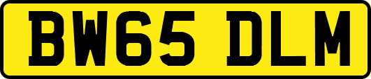 BW65DLM
