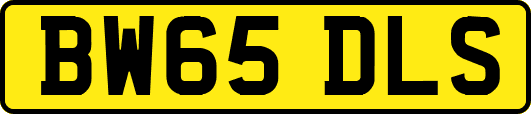 BW65DLS