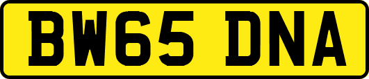 BW65DNA