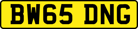 BW65DNG