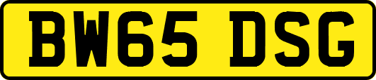 BW65DSG