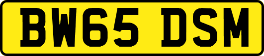 BW65DSM