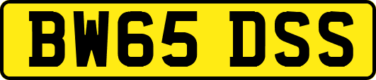 BW65DSS