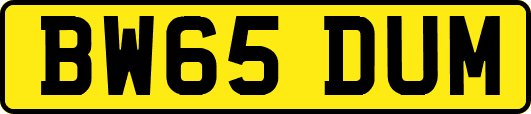BW65DUM
