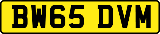 BW65DVM