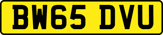BW65DVU