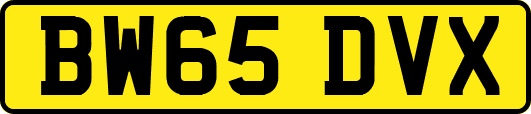 BW65DVX