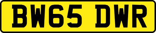 BW65DWR
