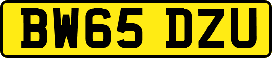 BW65DZU