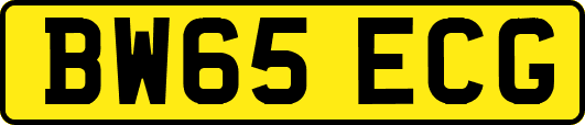 BW65ECG