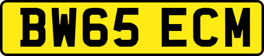 BW65ECM