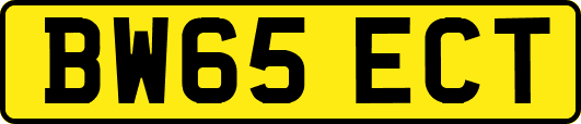 BW65ECT