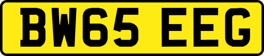 BW65EEG