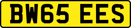 BW65EES