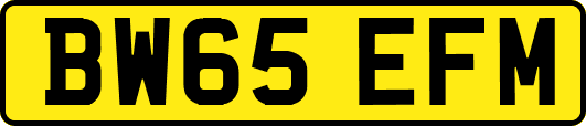 BW65EFM