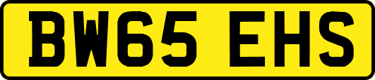 BW65EHS