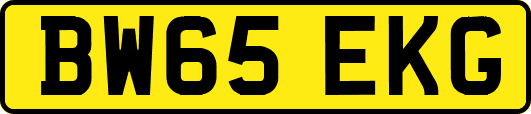 BW65EKG