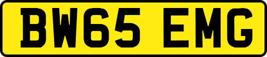 BW65EMG