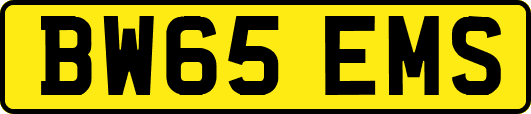 BW65EMS