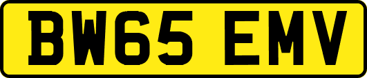 BW65EMV