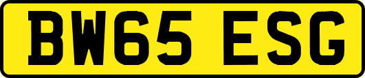BW65ESG