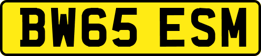 BW65ESM