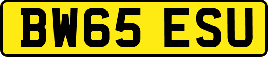 BW65ESU