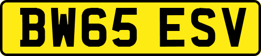 BW65ESV