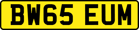 BW65EUM